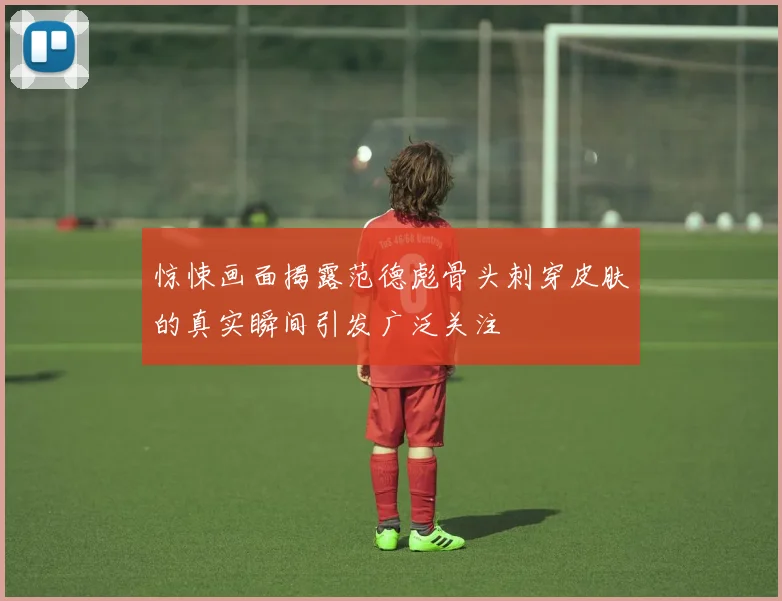 惊悚画面揭露范德彪骨头刺穿皮肤的真实瞬间引发广泛关注