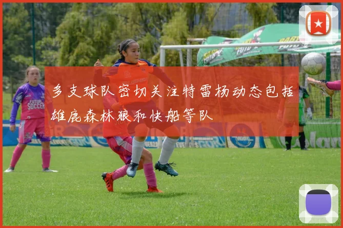多支球队密切关注特雷杨动态包括雄鹿森林狼和快船等队