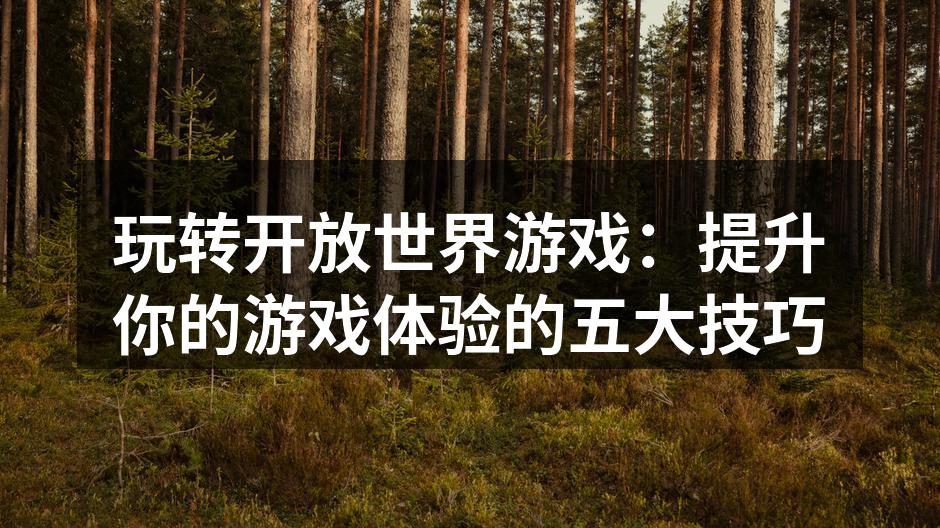 探索丰富的游戏世界