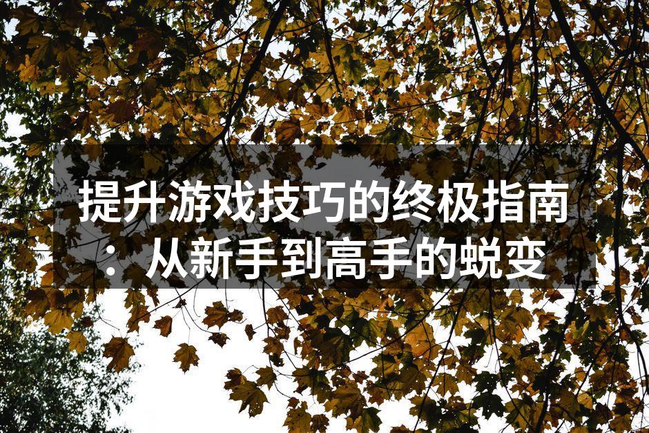 提升游戏技巧的终极指南：从新手到高手的蜕变
