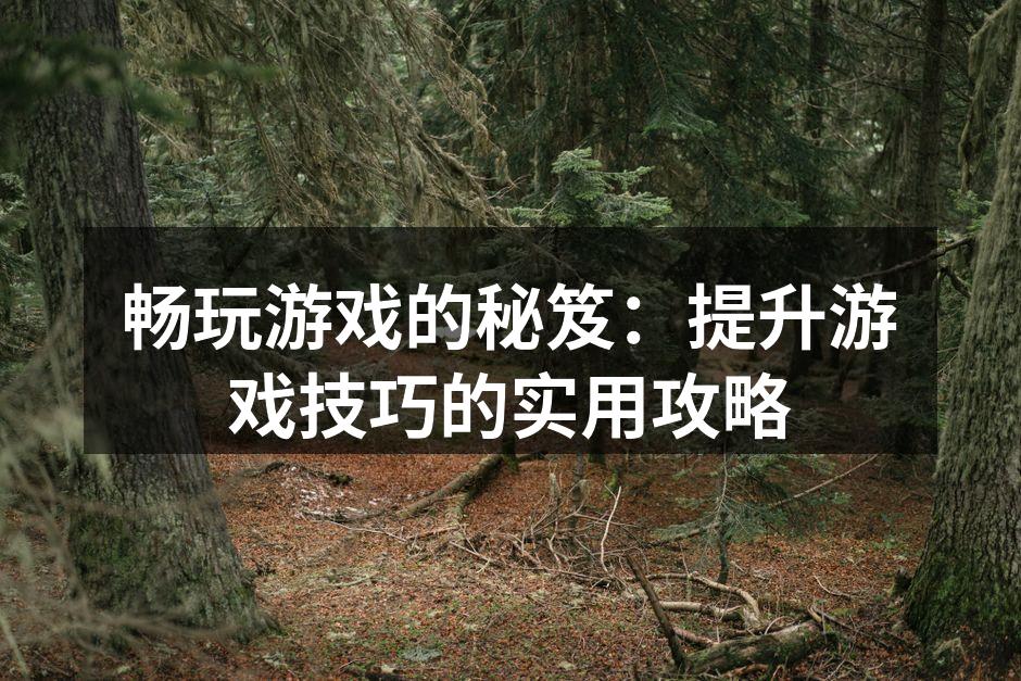 畅玩游戏的秘笈：提升游戏技巧的实用攻略